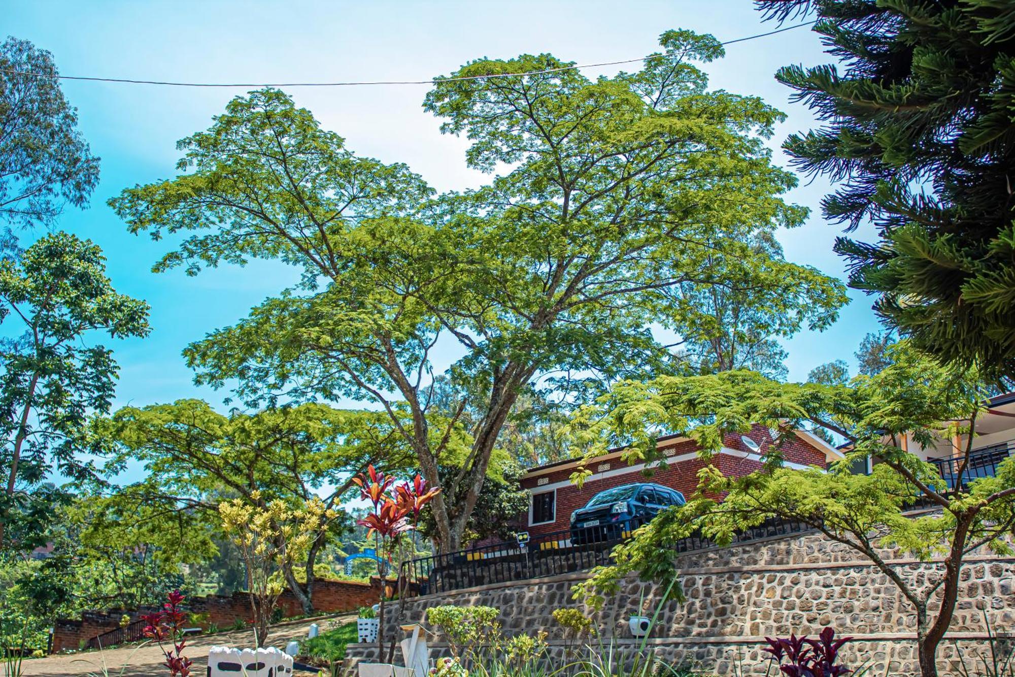 Peace Guest House Muhari Exterior photo